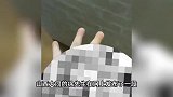 鱼友喂食人鱼手指被咬断无奈接脚趾！知情人：喜欢手喂，劝他不听