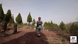 一脚蹬天梅花桩上,小萌娃少林拳打出气势,打出幼儿的阳刚之气