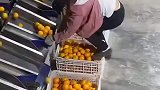 一顿操作猛如虎，一问工资两千五