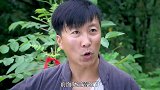 奸细躲在树上发情报，谁知地上树叶暴露他位置，当场被神枪手发现