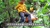 男子登山迷路吃草根树皮9天获救：是生物老师，对当地植物较了解