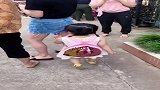 你这洒脱的背影，走路都带风啊