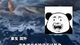 不到最后一刻绝不放弃,海龟被鲨鱼盯上凶多吉少，拼命扒着船只俩次向人类求救