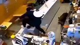 一野猪闯入商场奶茶店，女店员惊声尖叫一跃翻出柜台