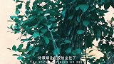 俩大影帝的经典组合，看完不笑算我输！