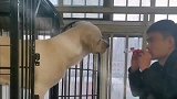 小伙子逗狗的搞笑操作！