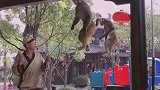 猴子走纲丝。
