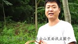 雨后的树林里长了很多野味，还有我最爱吃的松树菌，爽