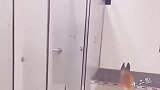 蠢萌蠢萌的狗子来了