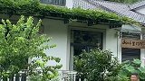雨后的小院，更有一番韵味