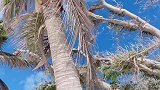军舰岛的海水永远能给人惊喜