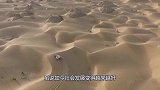 我国内蒙古发生奇迹，将黄河水引入沙漠后，发生的变化出人意料！