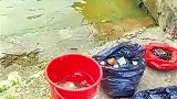 鱼验证一件事，深陷绝境也别轻易放弃