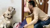 赛文和它的孩子们吃馒头，小泰迪吃鸡腿，赛文很郁闷，主人太坏了