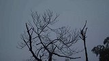 下雨天，老王煮两碗鹅蛋面，90岁老妈都爱吃