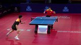 瑞乒赛樊振东4-1战胜徐昕 勇夺个人赛季单打第4冠