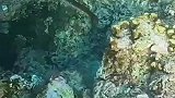 你们那开席几个人一桌？