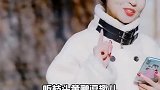 一叶知秋秋意浓 等车的时候给你唱个戏