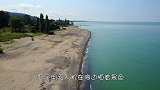 海鸥躲避无人机，空中旋转180度，这反应速度绝了