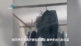 男生返校后发现挂在阳台的裤子里长出鸟窝，还有几枚鸟蛋