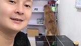 真心的希望能给大家一点点帮助，感谢一直的陪伴️
