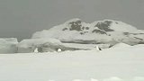 旅游-南极风光