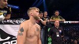 UFC-15年-UFC ON FOX14：轻重量级古斯塔夫森vs约翰逊-全场