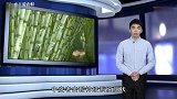 紧急提醒清明节就快到了,这东西千万不要吃,比毒蛇还毒