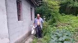 当宠物猫到了乡下，也会变得很乡下，眼前一幕原谅我实在没忍住