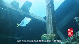 陕西出土一块石碑，记载让人不敢相信，专家：他才是下西洋第一人