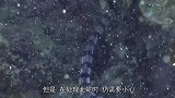 海洋3大最毒动物，河豚排第二，中毒后无药可医