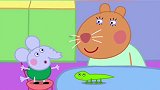 小猪佩奇：仓鼠医生也带来自己的宠物，它的宠物是什么呢？