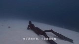 潜水员刚张开嘴，几只生物就飞快钻了进去，立马开始埋头苦干！
