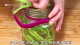 传统腌制酸豆角做法，酸脆开胃不易坏，简单易学，一看就会！