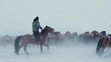 穿行零下40度呼伦贝尔大草原，探寻游牧驯鹿文化