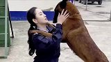 警犬界的狗贩子，流浪狗逆袭成警犬，却忘不了受苦受难的兄弟