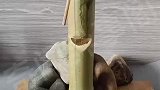 户外懒人自动钓鱼装置，不用守着自动上钩
