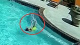 妹妹游泳失去意识 10岁姐姐一头扎进水中营救