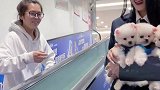 热门这也太出其不意了如果是你你会抢吗
