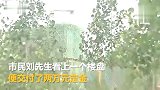 看房交定金后 发现旁边有50亩墓地购房者 销售说只有几个坟头