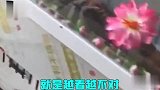 天气越来越热，你们避暑的奇葩操作是真独特