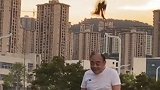 重庆：男子走在路上被鸟盯上反复踩头