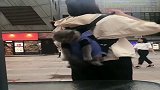 猫咪：这是背我还是背包，吓得我手都发抖啊，此生是生无可恋了