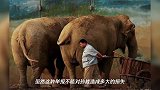 德云社孙越带货遭人恶意举报,凭本事赚点钱,到底挡了谁的道