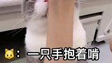 土豆咬我的时候像极了爱情就是有点疼