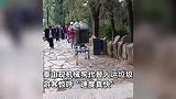 泰山现机械狗运垃圾下山，引游客惊呼，工作人员：可承重120千克！