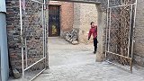 废弃打包带不要扔，棉儿姐教你废物利用编织长簸箕，好看又实用