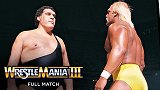 摔跤狂热3：WWE冠军赛 霍肯VS巨人安德烈