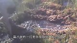 男子在野外玩，发现地上一个洞，洞里到底有什么