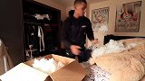 恶作剧：小哥扮成巨大的泰迪熊，偷偷把回来的好友整蛊